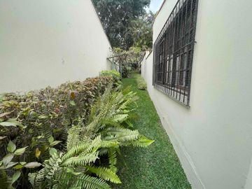 casa rodeada de jardín