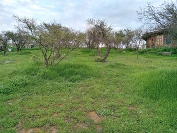 Venta de parcela agrícola en Limache
