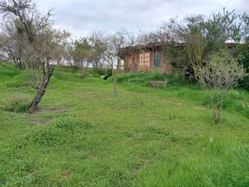 Venta de parcela agrícola en Limache