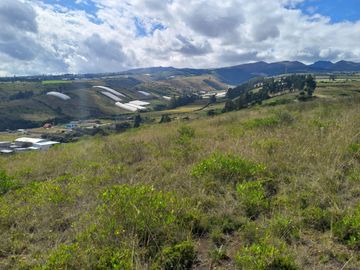 VENTA 9 HECTAREAS SECTOR CHIMBURLO TOCACHI