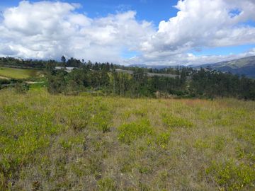 VENTA 9 HECTAREAS SECTOR CHIMBURLO TOCACHI