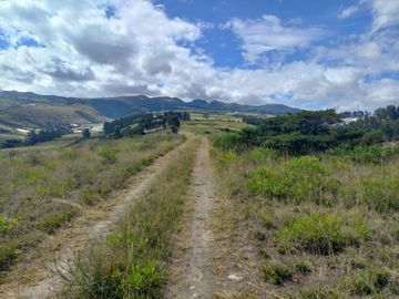 VENTA 9 HECTAREAS SECTOR CHIMBURLO TOCACHI