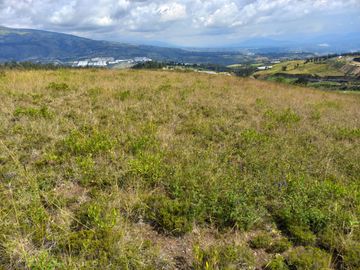 VENTA 9 HECTAREAS SECTOR CHIMBURLO TOCACHI