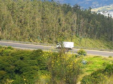 VENTA 9 HECTAREAS SECTOR CHIMBURLO TOCACHI