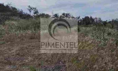 Terreno  en venta en Montemorelos