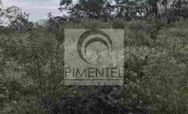 Terreno  en venta en Montemorelos