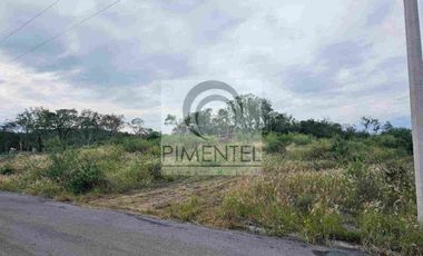 Terreno  en venta en Montemorelos