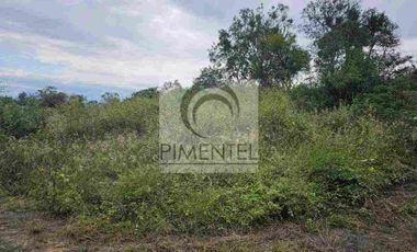 Terreno  en venta en Montemorelos