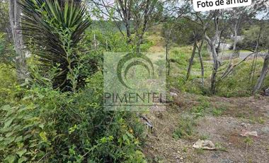 Terreno  en venta en Montemorelos