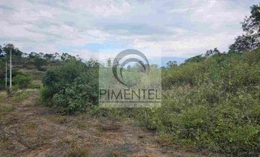 Terreno  en venta en Montemorelos