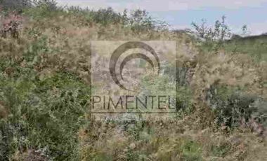 Terreno  en venta en Montemorelos