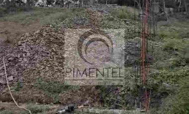 Terreno  en venta en Montemorelos