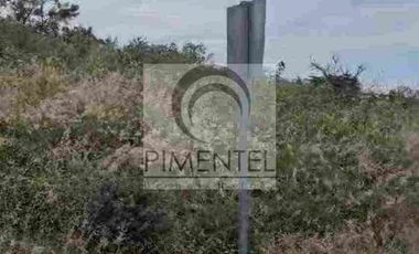 Terreno  en venta en Montemorelos