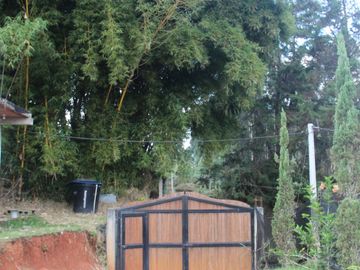 Casa-finca en Jericó, Antioquia – 3.900 m² de tierra fértil con vista panorámica.