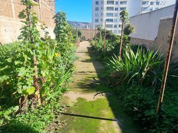 Venta de casa céntrica, excelente sector de Placeres