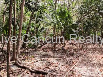 CASA ESTILO MEXICANO EN EL RESIDENCIAL ECOLOGICO Y EXCLUSIVO EL RAMONAL , EN CANCUN
