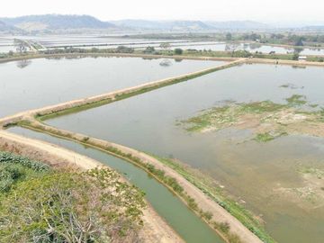 camaronera de venta en chone manabi