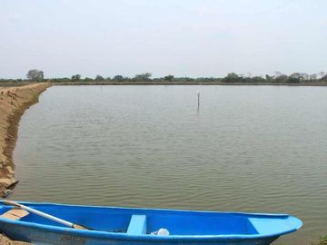 camaronera de venta en chone manabi