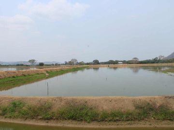 camaronera de venta en chone manabi