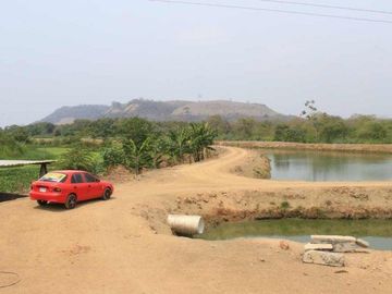 camaronera de venta en chone manabi