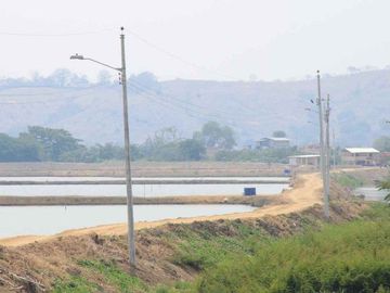 camaronera de venta en chone manabi