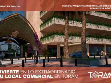 Departamentos y Locales en Venta en Mazatlán