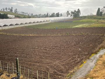 Floricola de venta, sector Cochasqui