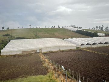 Floricola de venta, sector Cochasqui