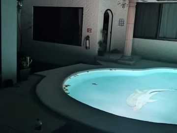 Casa de 1 nivel en renta, Col Los Tulipanes, CUernavaca Morelos.
