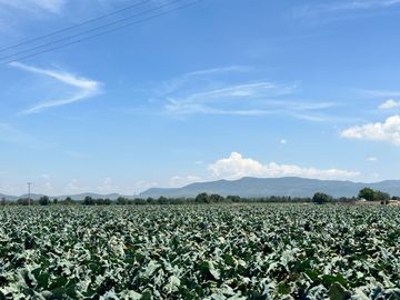 Rancho Apto Para Hortalizas/granos con Riego por Goteo -  a 50 Minutos de SLP