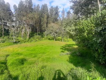 COTOGCHOA, vendo terreno urbano, 1.560m2, todos los servicios