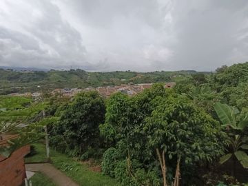 Venta Casa Esquinera de 3 niveles con local para negocio Hacienda Cuba-Pereira