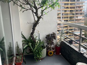 MARAVILLOSO DEPARTAMENTO TOTALMENTE REMODELADO BILBAO/DUQUECO LAS CONDES