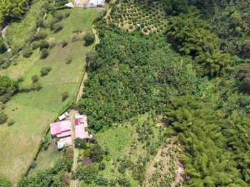 para la venta  finca productiva en combia sector del Pital