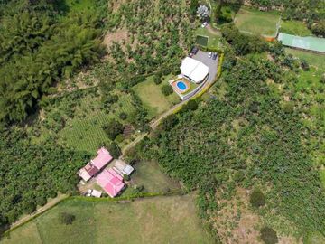 para la venta  finca productiva en combia sector del Pital