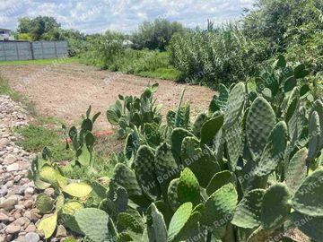 VENTA DE TERRENO EN  IXMIQUILPAN, HIDALGO.