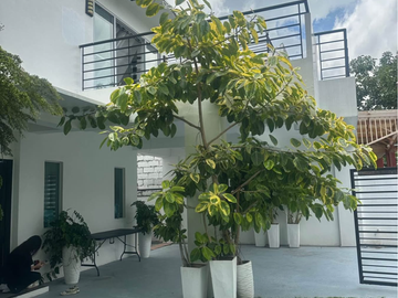 Elegant House in Royale Cebu Estates for sale