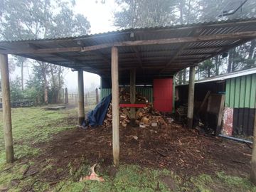 SE VENDE CAMPO 2.5 HECTÁREAS SECTOR SANTA FE