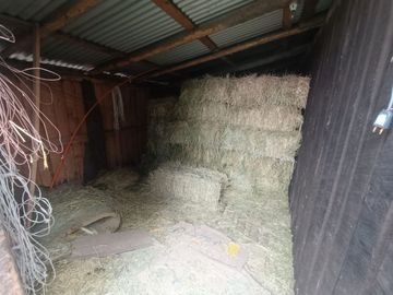 SE VENDE CAMPO 2.5 HECTÁREAS SECTOR SANTA FE