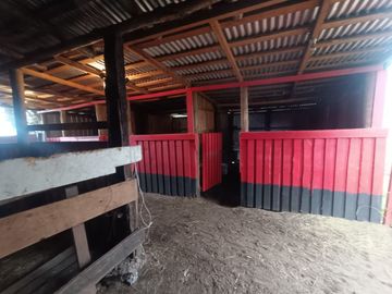 SE VENDE CAMPO 2.5 HECTÁREAS SECTOR SANTA FE