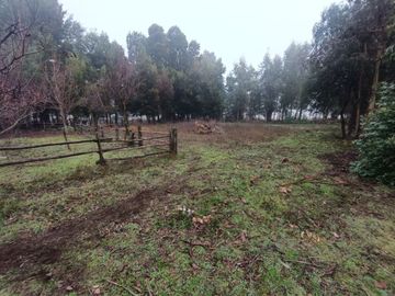SE VENDE CAMPO 2.5 HECTÁREAS SECTOR SANTA FE