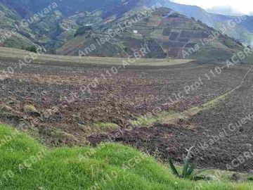 De Venta Hacienda productiva 280 hectáreas en Ambuqui