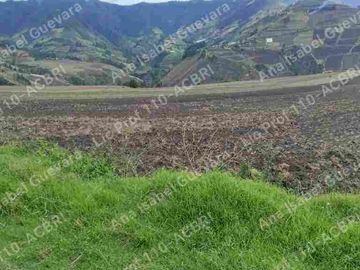 De Venta Hacienda productiva 280 hectáreas en Ambuqui
