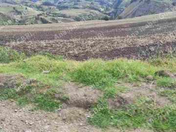 De Venta Hacienda productiva 280 hectáreas en Ambuqui