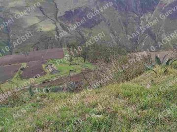 De Venta Hacienda productiva 280 hectáreas en Ambuqui