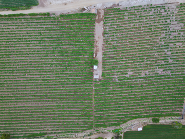 SE VENDE TERRENO DE 1 HECTÁREA EN EL REPECTOR – REQUE
