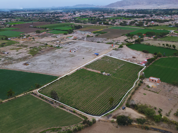 SE VENDE TERRENO DE 1 HECTÁREA EN EL REPECTOR – REQUE
