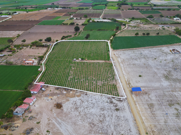 SE VENDE TERRENO DE 1 HECTÁREA EN EL REPECTOR – REQUE