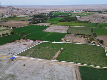 SE VENDE TERRENO DE 1 HECTÁREA EN EL REPECTOR – REQUE
