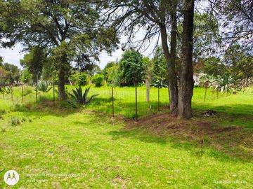 Quinta campestre en venta en Yauhquemehcan
